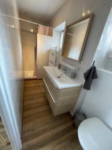 ein Badezimmer mit einem weißen Waschbecken und einem WC in der Unterkunft Le gîte du lavoir 
