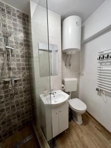 a bathroom with a toilet and a sink and a shower at Lara Residence in Băile Herculane