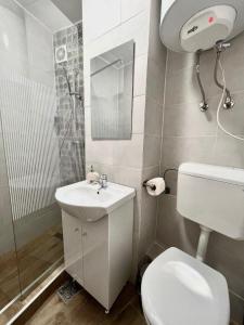 a small bathroom with a toilet and a sink at Lara Residence in Băile Herculane