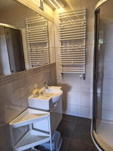 a bathroom with a sink and a shower and a mirror at Leśny Dworek - Apartamenty ze wspólnym salonem kominkowym i TV in Mrągowo