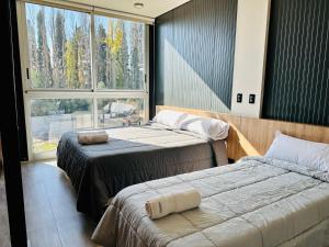 Duas camas num quarto com uma janela grande em Cubos de Chacras AZUL em Mendoza