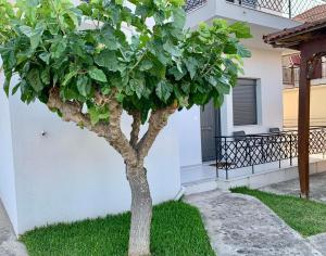 a tree in front of a white house at Lýria Boutique Apartments in Lygia