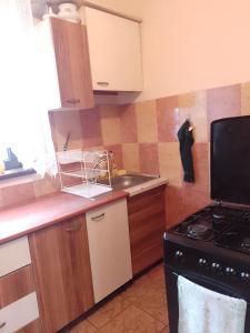 een keuken met een wastafel en een fornuis bij Casa Ispas in Râșca