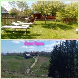 two pictures of a yard with a bench in the grass at Casa Ispas in Râșca