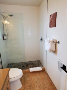 a bathroom with a shower and a toilet and a glass door at Moonstone Beach Motel in Moclips