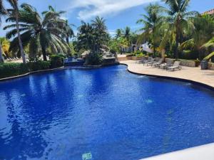 uma grande piscina azul num resort com palmeiras em Beach Front Condo steps from beach em Six Huts