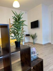 a living room with a potted plant on a table at Appartement neuf entièrement équipé proche centre in Amiens +46 photos