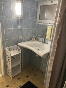 een badkamer met een wastafel en een spiegel bij Gîte Le Hamo in Saint-Fort