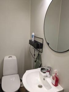 a bathroom with a toilet and a sink and a mirror at Spacious apartment on Kvaløya in Kvaloysletta