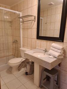 La salle de bains est pourvue d'un lavabo, de toilettes et d'un miroir. dans l'établissement Hotel Artesanos, à Villa Alegre