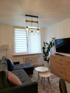 Μια τηλεόραση ή/και κέντρο ψυχαγωγίας στο Apartament Ślęczka