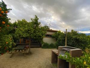 A garden outside Cabañas La Luz
