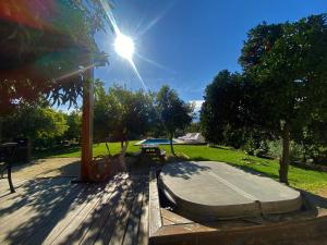 A garden outside Cabañas La Luz