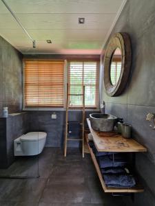 een badkamer met een wastafel, een toilet en een spiegel bij Bed & Breakfast Hoeve Happiness in Voorthuizen