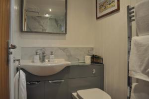 a bathroom with a sink and a toilet at Fullabrook Farm Retreat, The Shepherdess Hut in West Down
