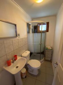 a bathroom with a toilet and a sink and a shower at Cabañas Doña Juanita in San Pedro de Atacama
