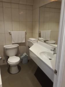 Koupelna v ubytování Hotel y Cabañas Palomar - Caja los Andes