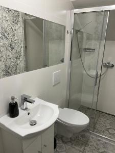 a bathroom with a toilet and a sink and a shower at Apartament Niko Nad Zatoką Pucką in Puck
