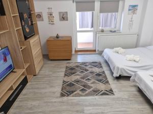 Zimmer mit 2 Betten und einem Flachbild-TV in der Unterkunft Constanta Studio 50mp in Constanţa