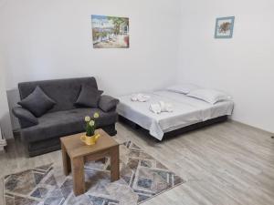 ein Wohnzimmer mit einem Sofa, einem Bett und einem Tisch in der Unterkunft Constanta Studio 50mp in Constanţa