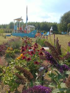 un jardín de flores con un parque infantil al fondo en Domek Lawendowe Wzgórze, en Mielenko
