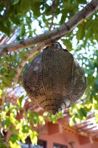 un alimentador de aves está colgando de un árbol en Chez Imnir en Ijjoukak