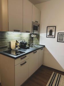 eine kleine Küche mit einer Spüle und einem Herd in der Unterkunft Modernes Wohlfühl-Apartment an den Kaiserthermen in Trier
