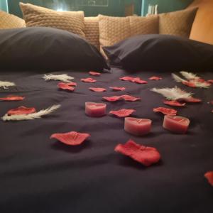 a bed with red petals on a black comforter at Nuit insolite bateau à quai - Port Saint Louis du Rhône in Port-Saint-Louis-du-Rhône