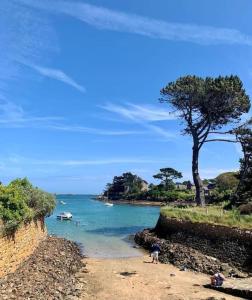 a beach with a tree and a body of water at Chez Josy in La Bouillie +6 photos
