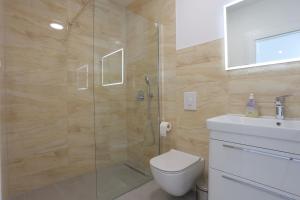 ein Bad mit einer Dusche, einem WC und einem Waschbecken in der Unterkunft Apartment Baska Voda 6773a in Baška Voda