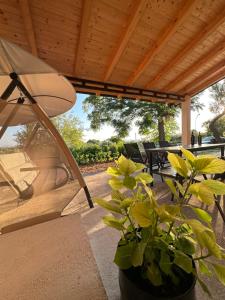 Relax and Unwind: Family-Friendly House near Zadar in Zagrad في زادار: فناء مع مظلة ونبات الفخار