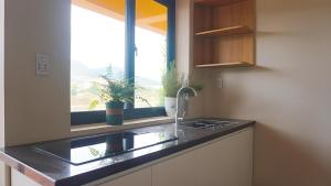 a kitchen with a sink and a window with plants at Tít Mít HomeStay in Cao Bằng