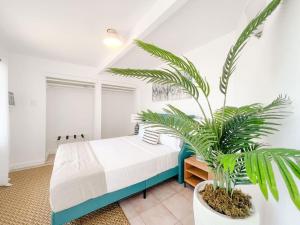 a bedroom with a bed and a potted plant at Ocean View Retreat Villa in Enighed