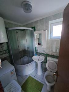 uma casa de banho com um chuveiro, um WC e um lavatório. em Wolf Apartment em Žabljak