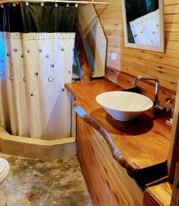 La salle de bains est pourvue d'un lavabo et d'une douche. dans l'établissement Cabaña Rustica Atlantida 4p 500m Parque, à Santa Clara del Mar