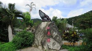 una mariposa sentada sobre una roca en 雅如小築電梯民宿, en Puli