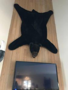 a black teddy bear laying on the floor at Cabin w/ Amazing views & Spa. Aug.dates available in Ronald