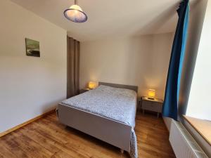 ein Schlafzimmer mit einem Bett und zwei Lampen an zwei Tischen in der Unterkunft Gîte Lunéville, 3 pièces, 4 personnes - FR-1-584-293 in Lunéville