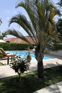 Бассейн в Eve Pissouri Veriko Villa или поблизости