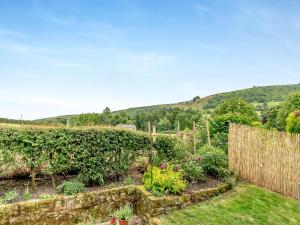 a garden with a wooden fence and some plants at Crown Gardens in Rosedale Abbey