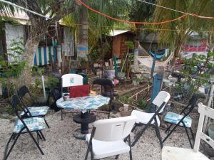 Zahrada ubytování VOLUNTARY & Camping + 1 fotografie