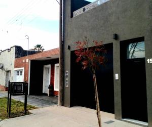 un árbol frente a un edificio con una puerta negra en Bienvenidos en San Pedro