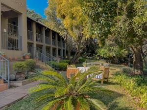 比勒陀利亚Amoris Guesthouse In Waterkloof Ridge的一座带椅子和树木的酒店庭院
