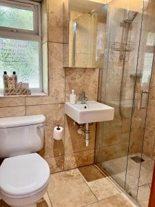 a bathroom with a toilet and a sink and a shower at Beautiful Bijou Bungalow in Gloucester