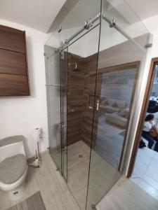 uma casa de banho com uma cabina de duche em vidro e um WC. em apartamento a 15 mins del centro em Tepic