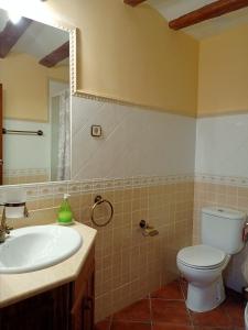 a bathroom with a sink and a toilet and a mirror at El Rincon Del Tajo in Peralejos de las Truchas