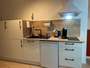 a small kitchen with white cabinets and a sink at Le 203 studio cosy in Jasseron