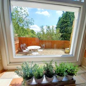 - une vue sur le patio à travers une fenêtre ornée de plantes dans l'établissement Serendipity cottage, à Castleton