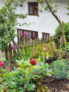 a garden with flowers in front of a house at Delightful Devon Cottage in East Budleigh