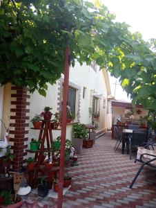 Το κτήριο όπου στεγάζεται  ο ξενώνας